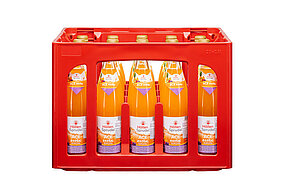 ACE Exotic 0,5L Glas